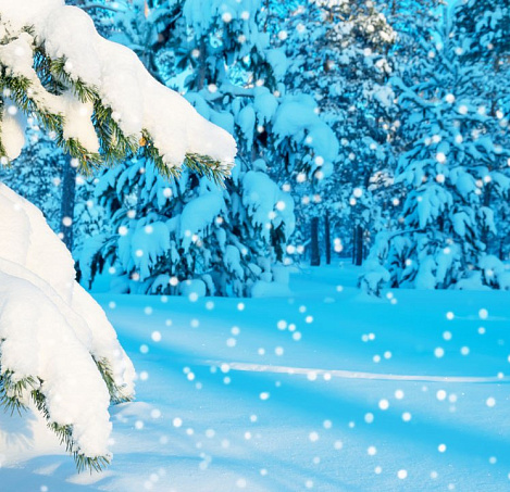 Товар_1687761305