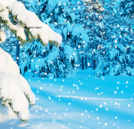 Товар_1687431410