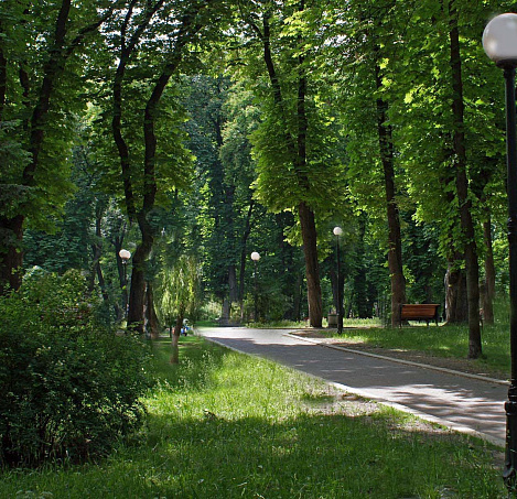 Товар_1520310499