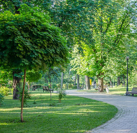 Товар_1520308355